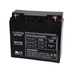 Batterie tashima nh1220 100% etanche pour castelgarden, honda, stiga